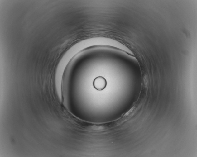 X0000114140570200910221527