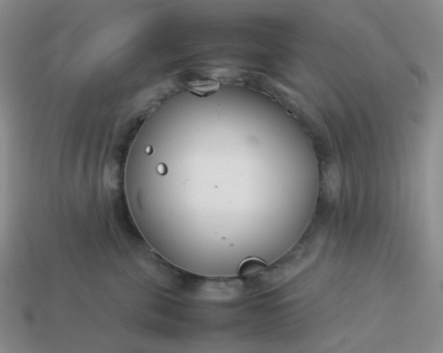 X0000114140571200910221527