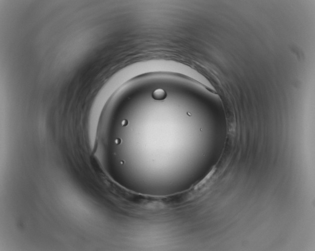 X0000114140572200910221527