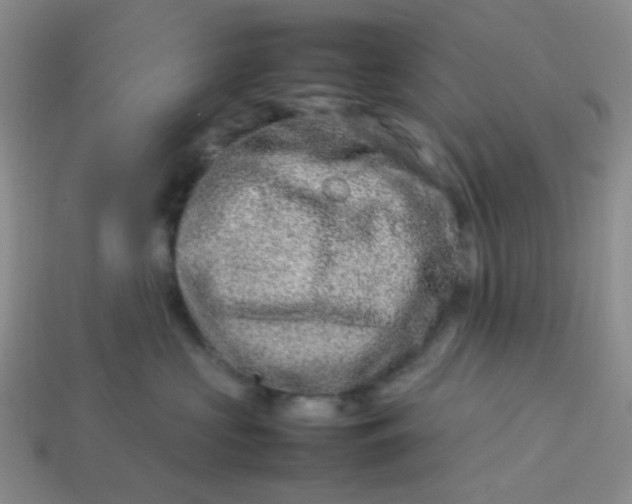 X0000114140573200910221527