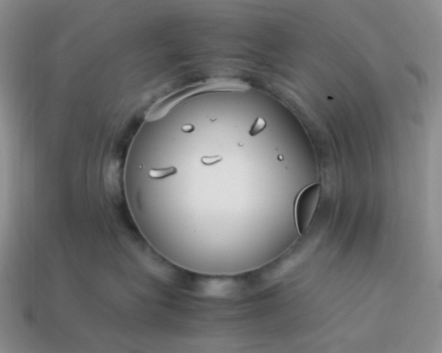 X0000114140575200910221527