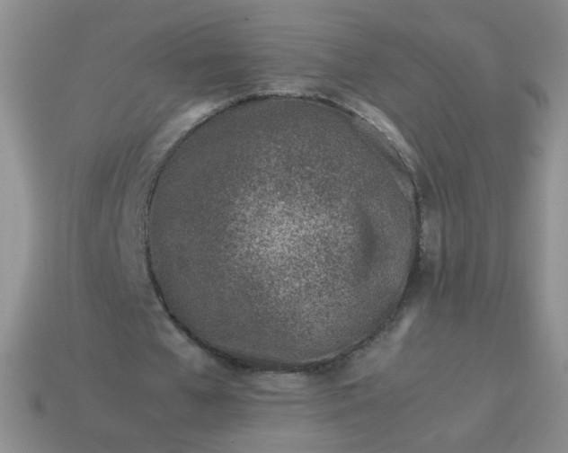 X0000114140577200910221527