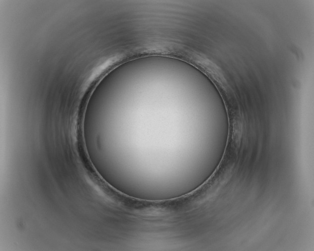 X0000114140578200910221527