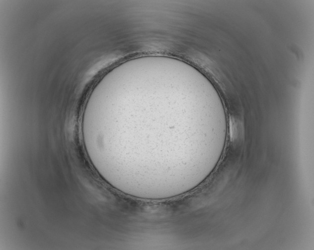 X0000114140579200910221527