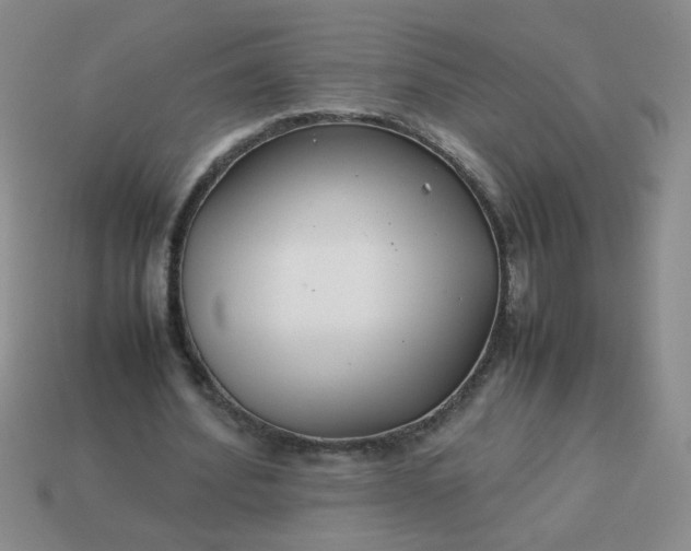 X0000114140580200910221527