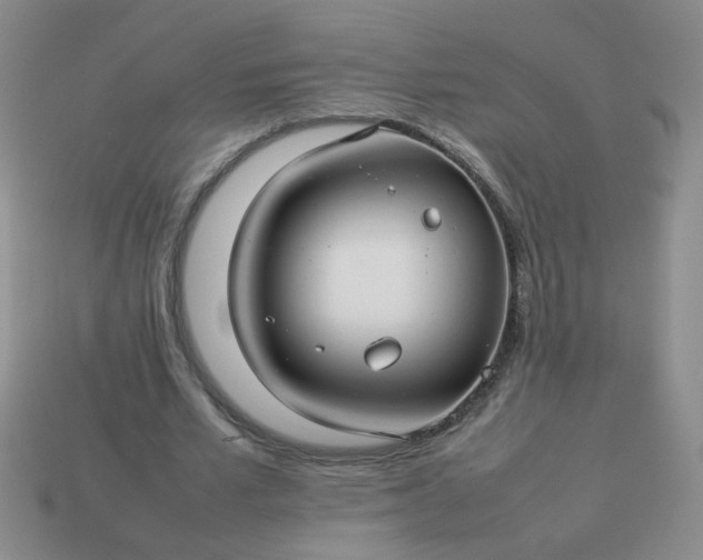 X0000114140581200910221527