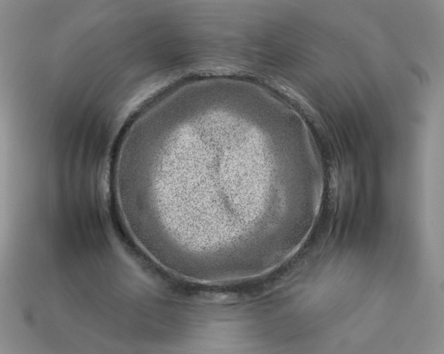 X0000114140582200910221527