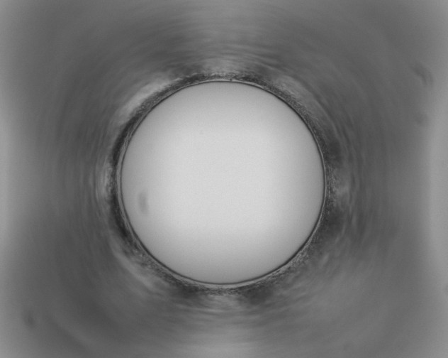 X0000114140583200910221527