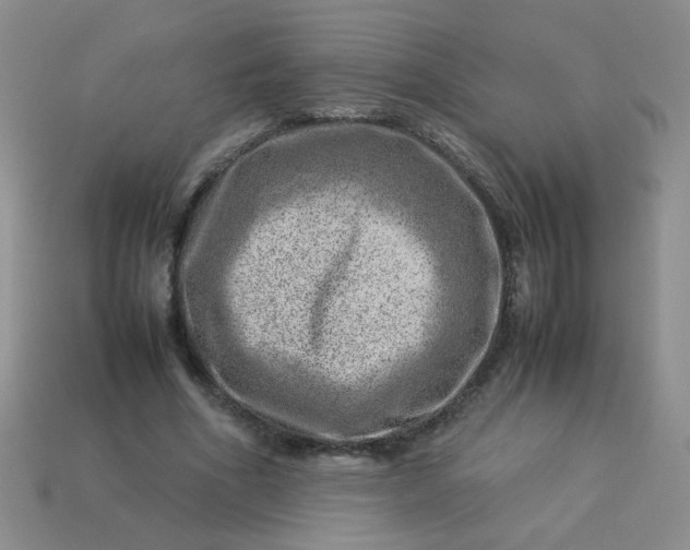 X0000114140586200910221527