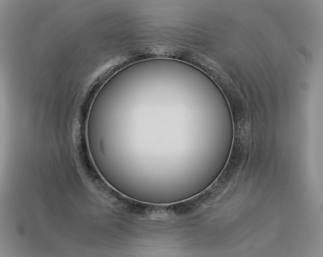 X0000114140587200910221527