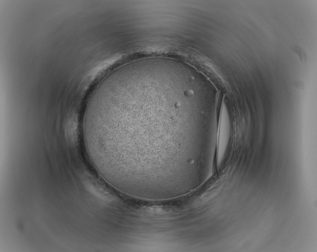 X0000114140588200910221527