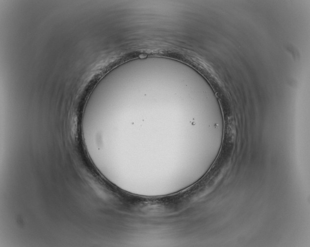 X0000114140589200910221527