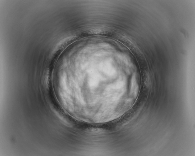 X0000114140590200910221527