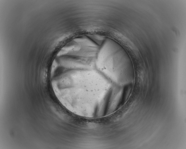 X0000114140592200910221527