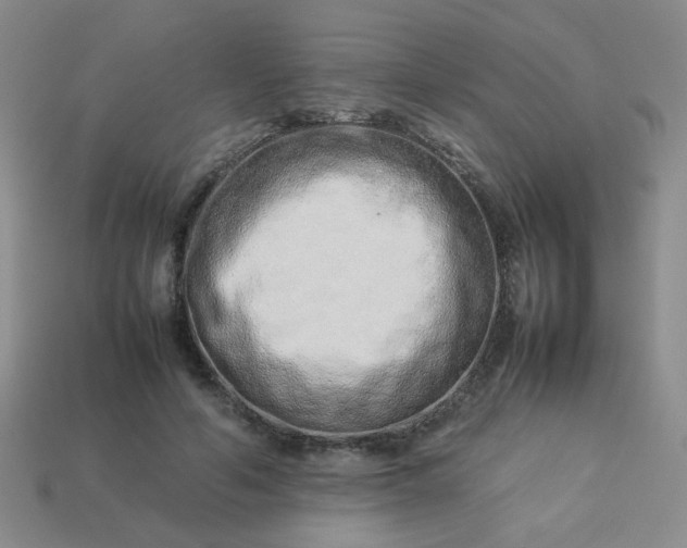 X0000114140594200910221527