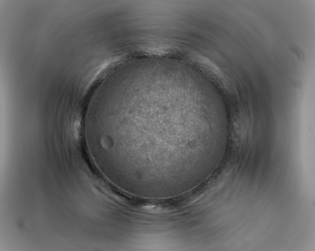 X0000114140596200910221527