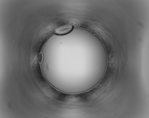 X0000114140597200910221527