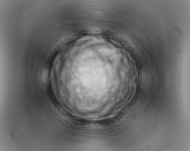 X0000114140598200910221527