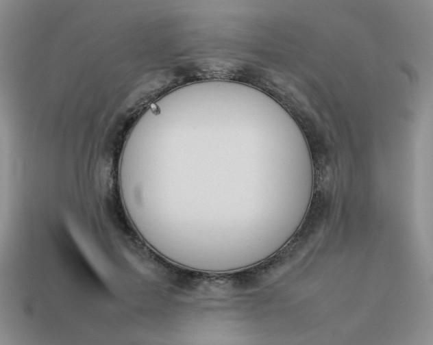 X0000114140599200910221526