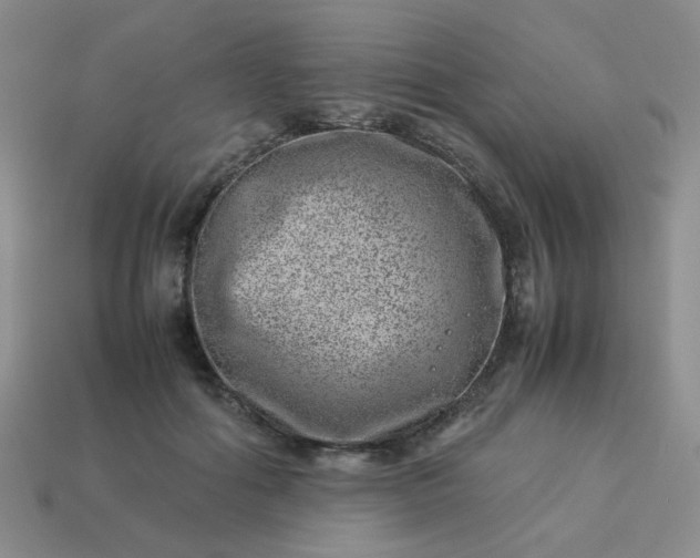 X0000114140602200910221526