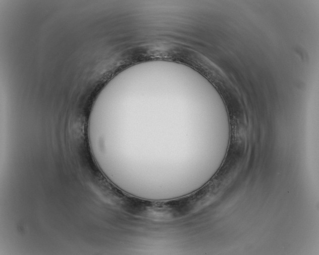 X0000114140603200910221526