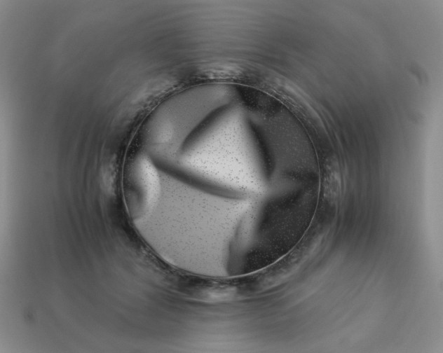 X0000114140604200910221526