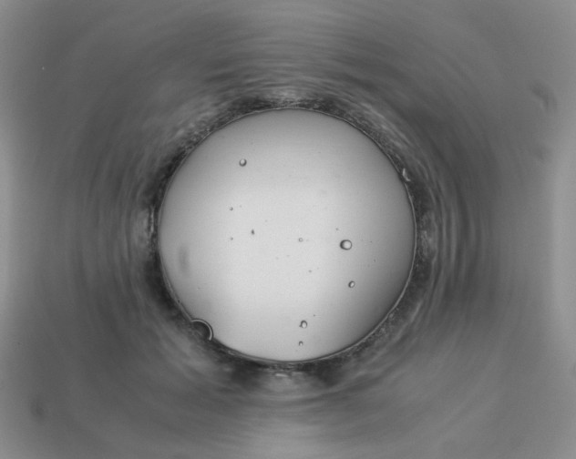 X0000114140605200910221526