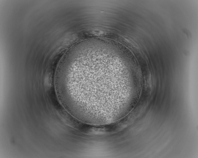 X0000114140606200910221526