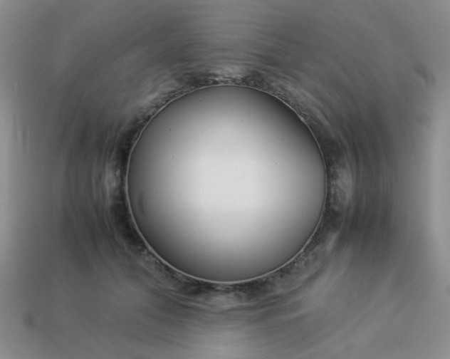 X0000114140608200910221526