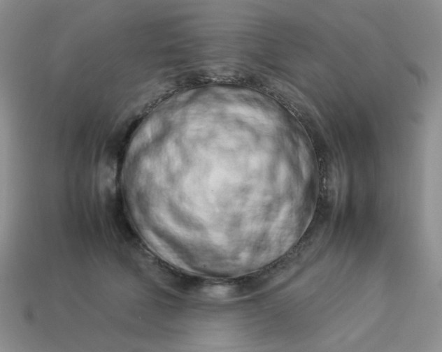 X0000114140610200910221526