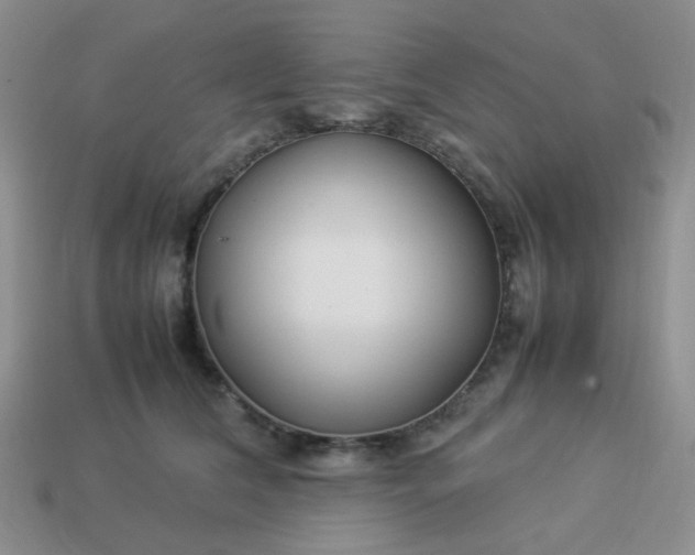 X0000114140612200910221526