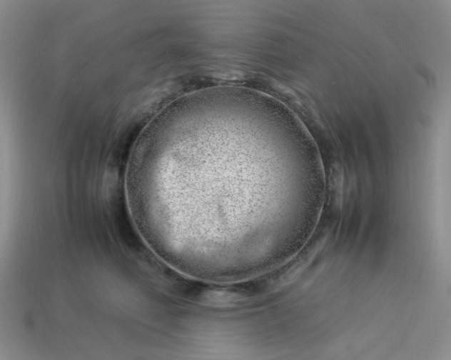 X0000114140614200910221526