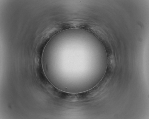 X0000114140615200910221526