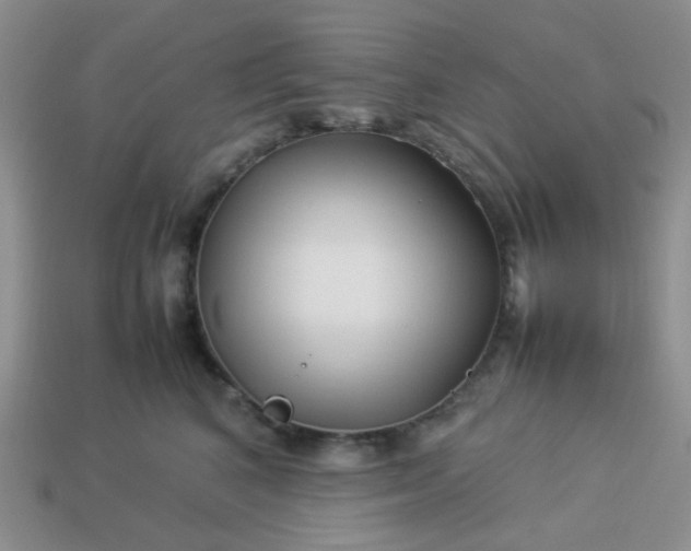 X0000114140616200910221526