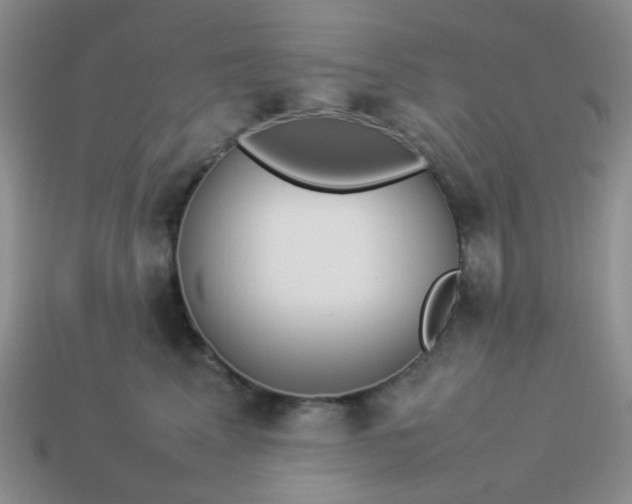 X0000114140617200910221526