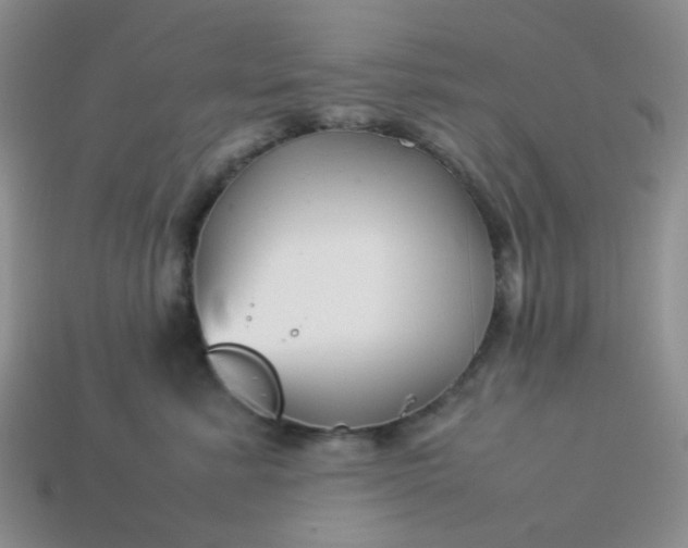 X0000114140619200910221526