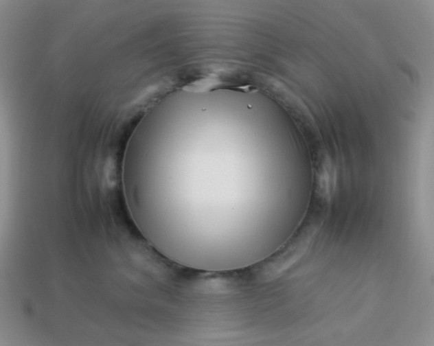 X0000114140620200910221526