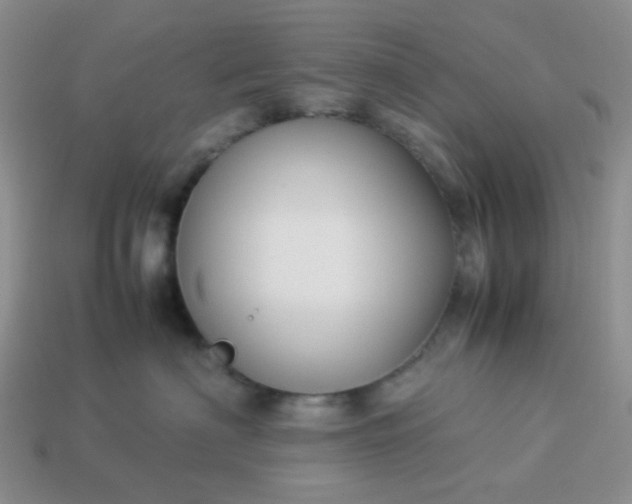 X0000114140622200910221526