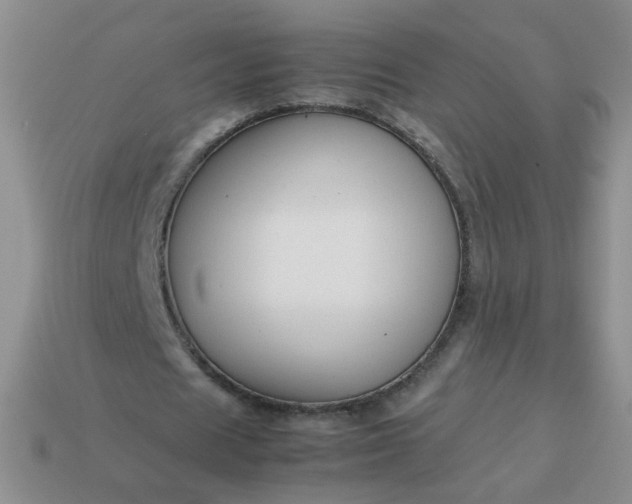 X0000114140625200910221525