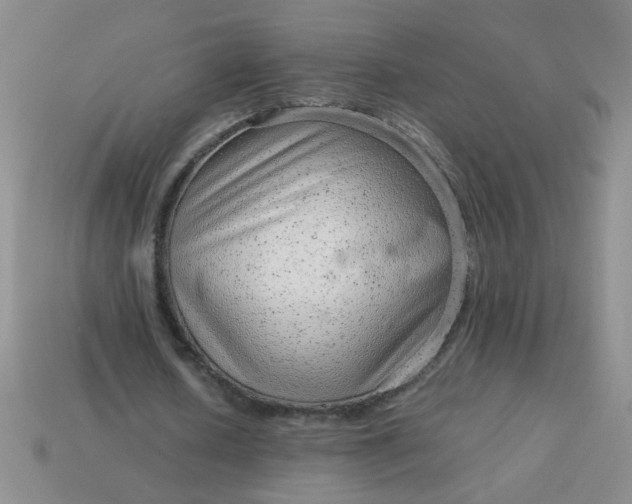 X0000114140626200910221525