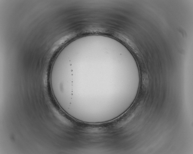 X0000114140629200910221525