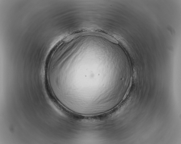 X0000114140630200910221525