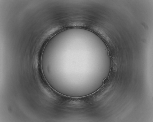 X0000114140631200910221525