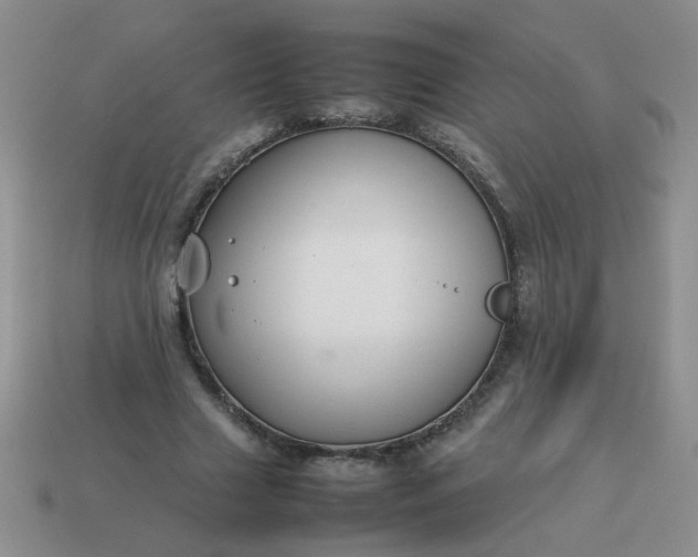 X0000114140633200910221525