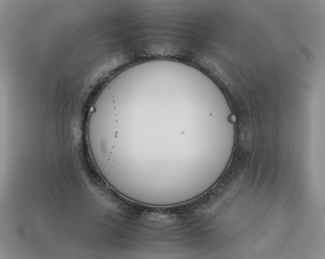 X0000114140635200910221526