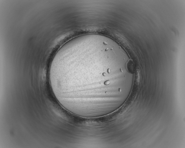 X0000114140636200910221526