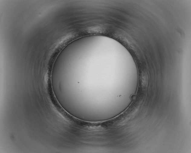 X0000114140637200910221526