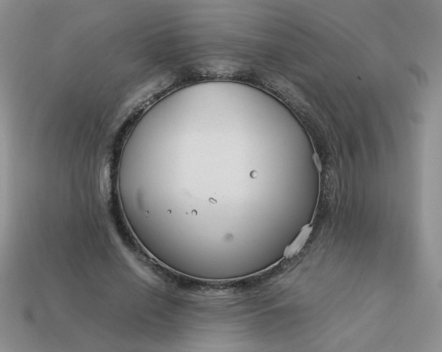 X0000114140638200910221526