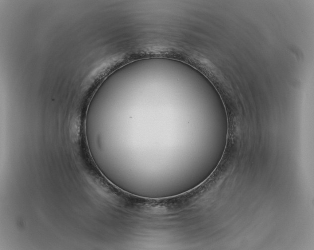 X0000114140640200910221526