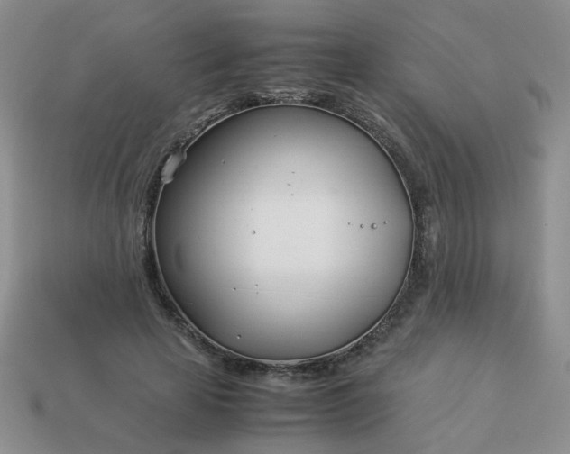 X0000114140641200910221526